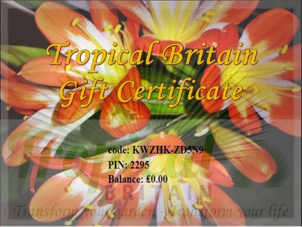 £75 Gift Certificate