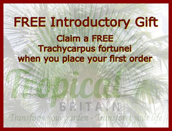 Free Introductory Gift