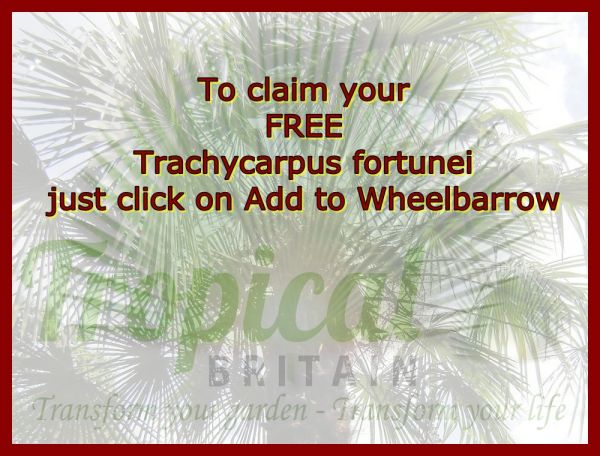 Just Add it to your Wheelbarrow