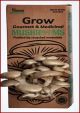 Blue Oyster Mushroom - Pleurotus columbinus - Mushroom Grow Kit