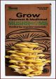 Golden Oyster Mushroom - Pleurotus citrinopileatus - Mushroom Grow Kit