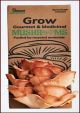 Pink Oyster Mushroom - Pleurotus djamor - Mushroom Grow Kit